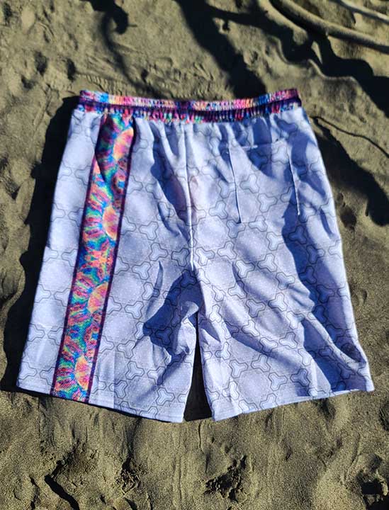 64 Point Star Tetrahedron Day Trip Shorts
