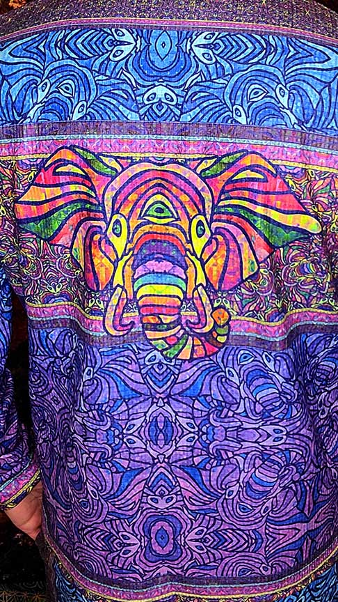 Elephant Medicine Plush Hoodie Tracksuit Top