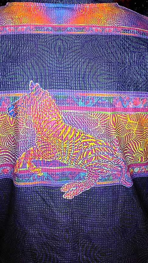 Zebra Rainbows Plush Hoodie Tracksuit Top