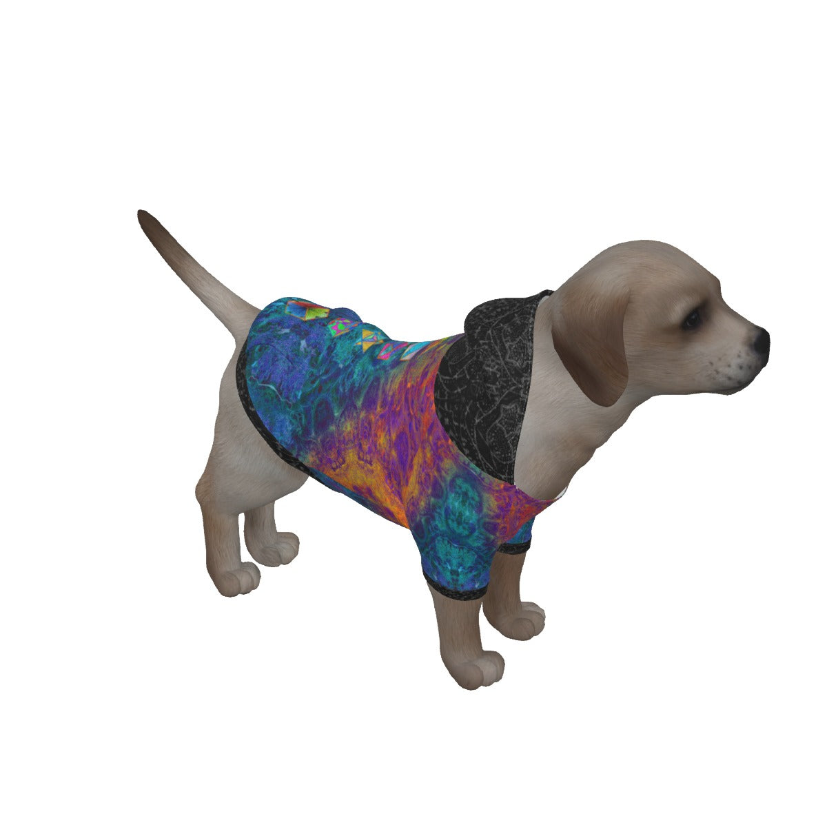 Platonic Solids Dog's Pullover Hoodie