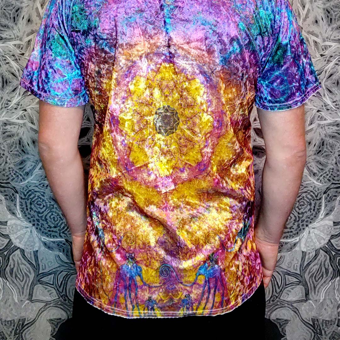 Stealie My Fire Crushed Velvet T-Shirt
