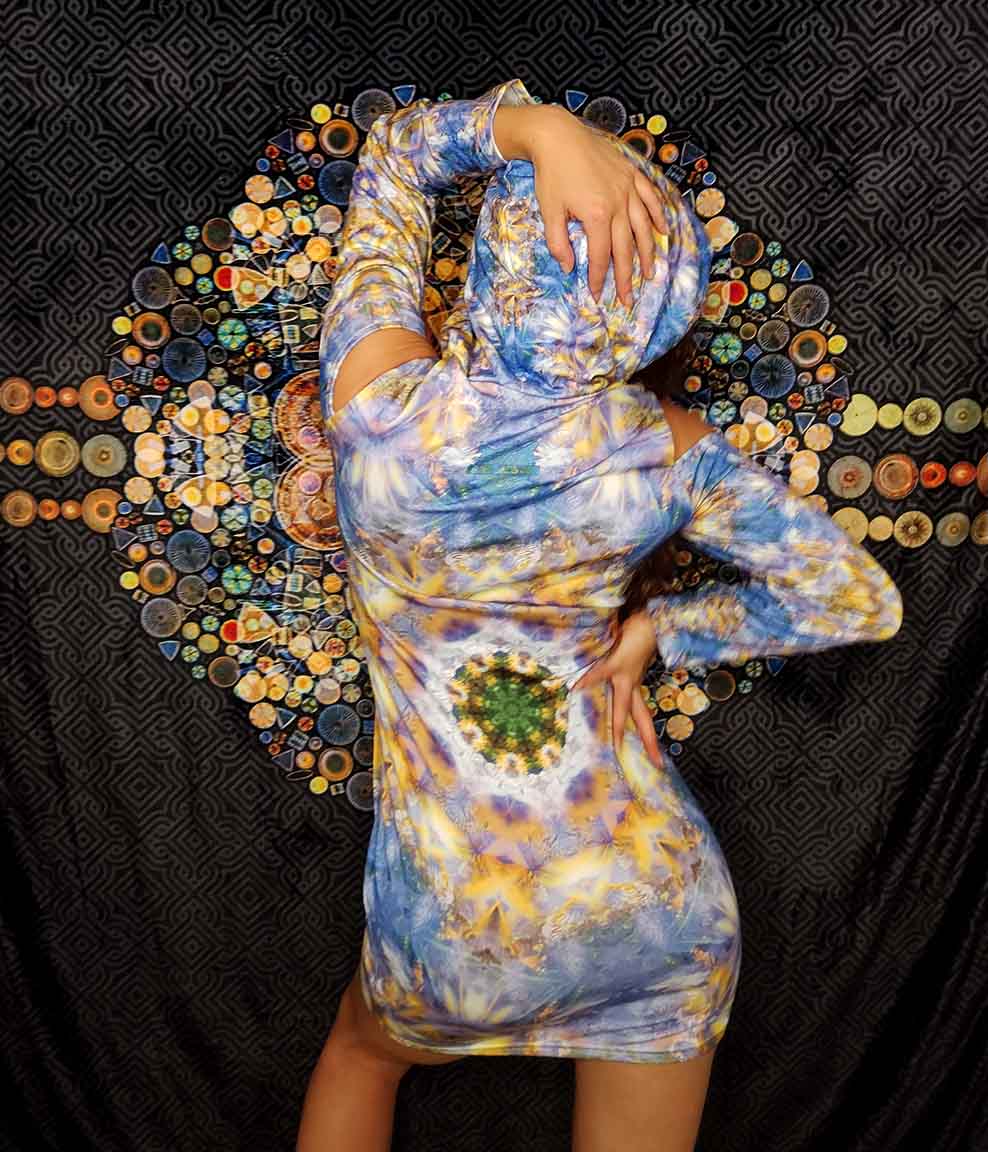 Wild Iris Bodycon Hoodie Dress