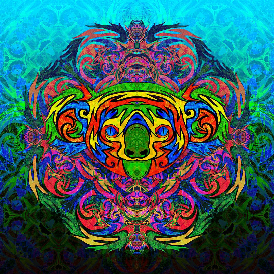 Koala Shaman Back-Lit Illuminated Artwork