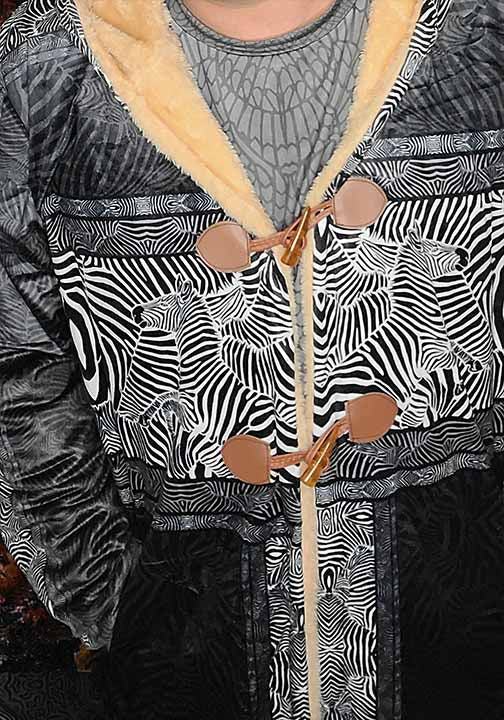 Zebra Reflections Festival Cloak