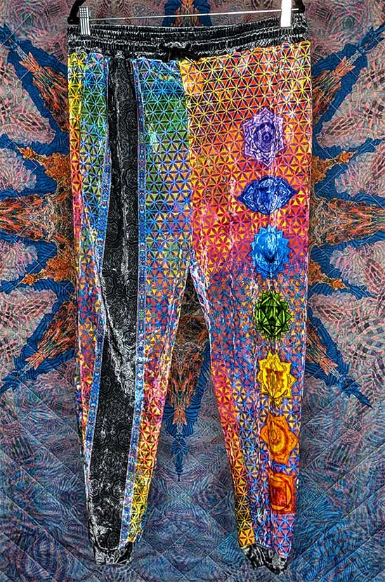 Chakra Awakening Crushed Velvet Jogger Pants
