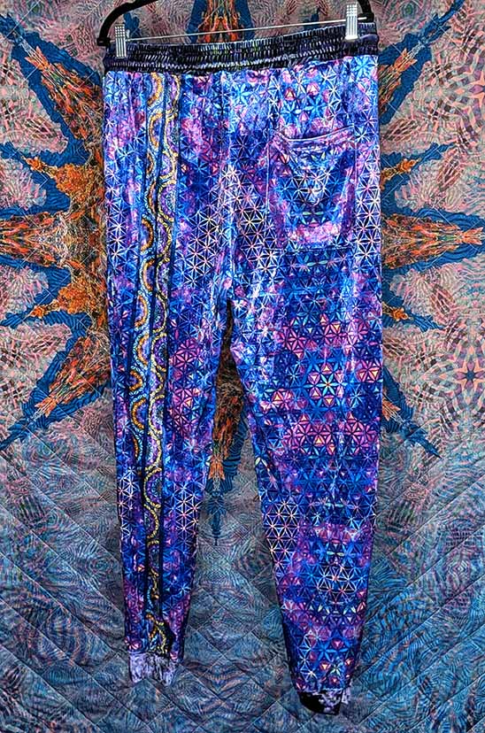 Eclectic Spectrum Crushed Velvet Jogger Pants