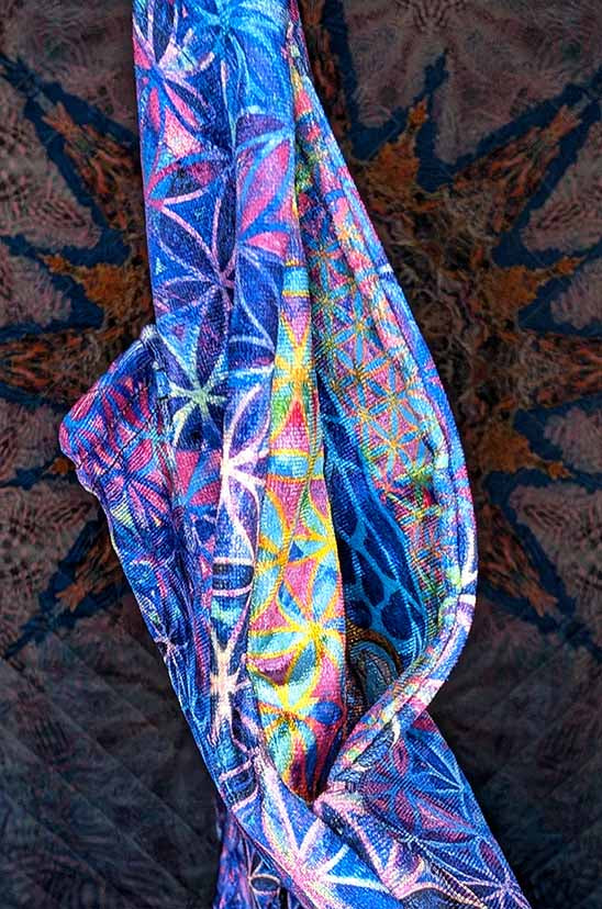 Eclectic Spectrum Crushed Velvet Jogger Pants