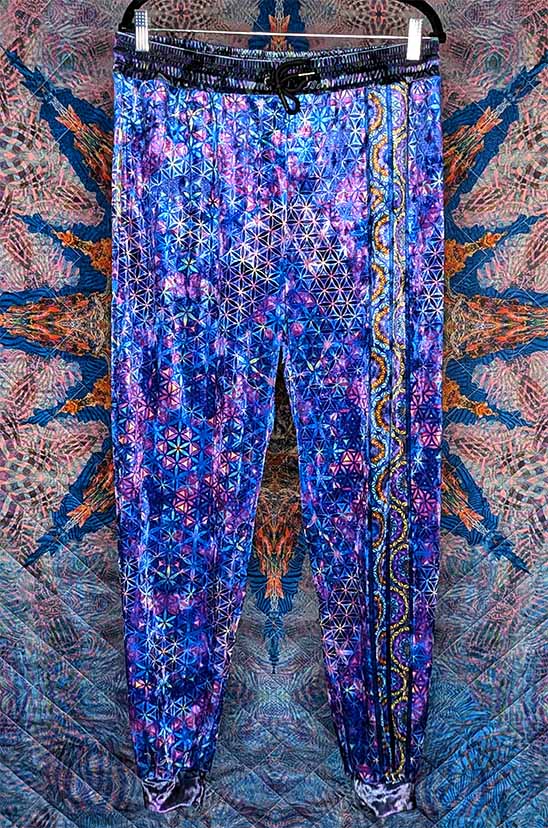 Eclectic Spectrum Crushed Velvet Jogger Pants