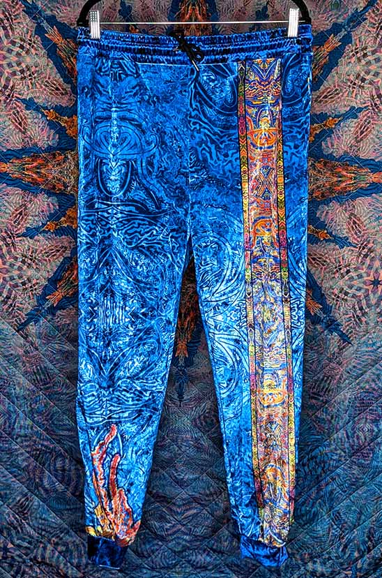 Jellyfish Intuition Crushed Velvet Jogger Pants
