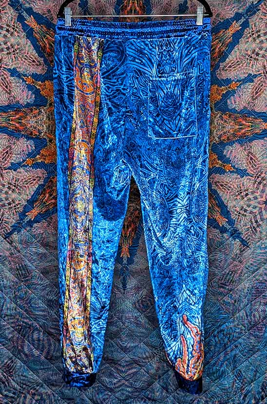 Jellyfish Intuition Crushed Velvet Jogger Pants
