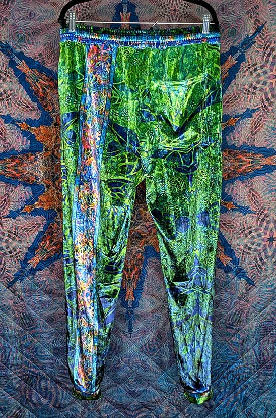 Sea Turtle Longevity Crushed Velvet Jogger Pants