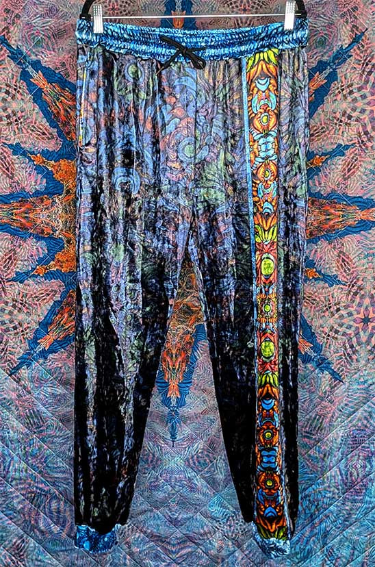Visionary Owl Crushed Velvet Jogger Pants