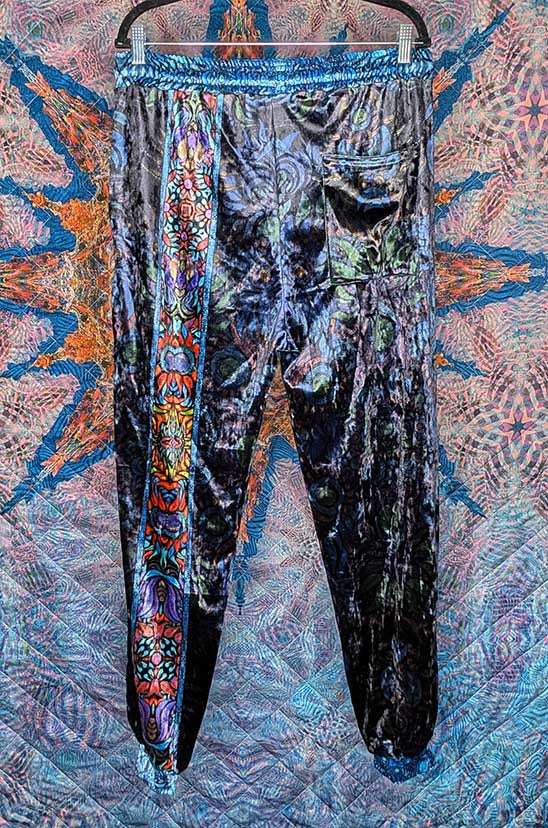 Visionary Owl Crushed Velvet Jogger Pants
