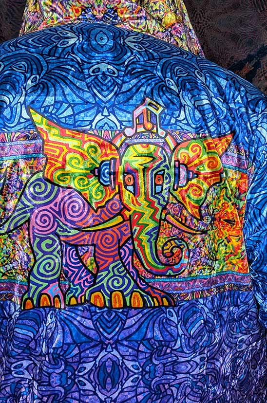 Elephant Symphony Crushed Velvet Zip Hoodie