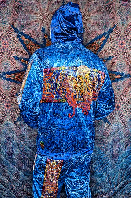 Jellyfish Intuition Crushed Velvet Zip Hoodie